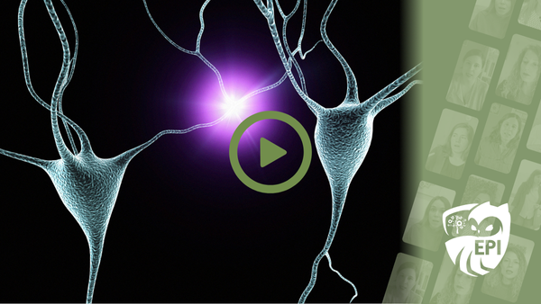 Efectos neurobiológicos trauma